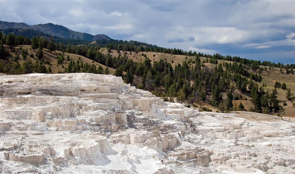 Mammoth Hot Springs