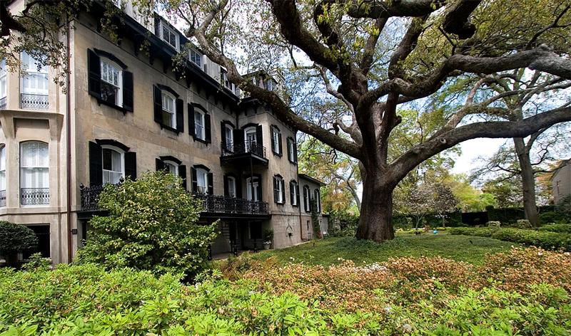 Stately Oak, Savannah