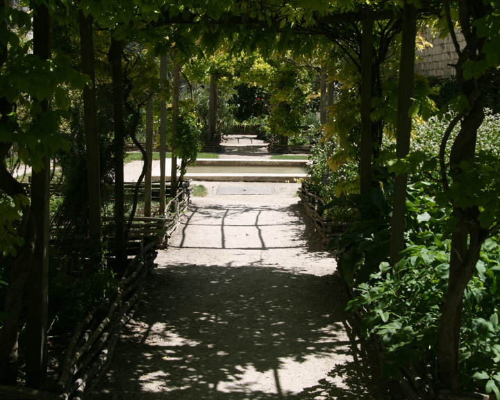 Medieval Garden