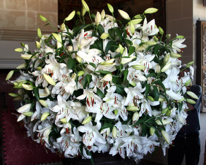 Floral Display