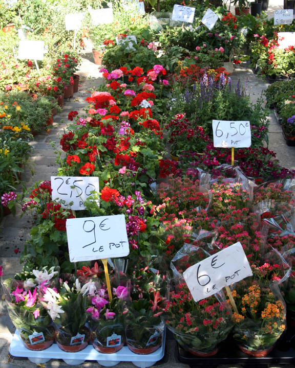 Market Flowers