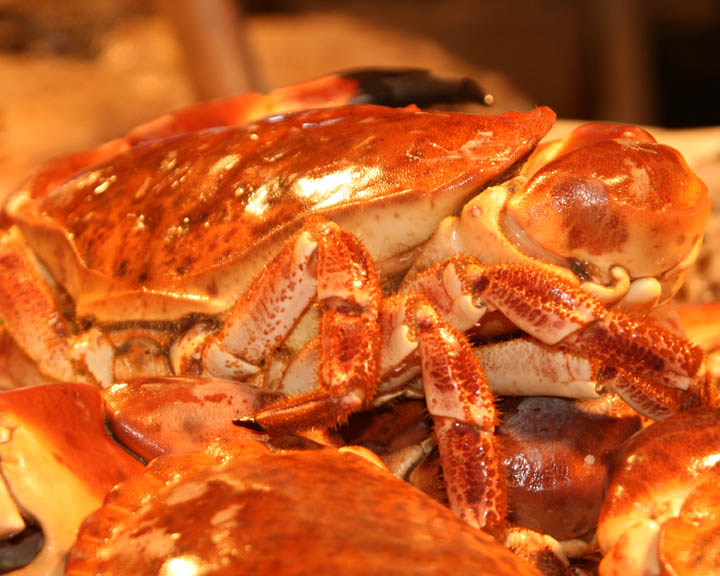 Crabs at Rialto Market