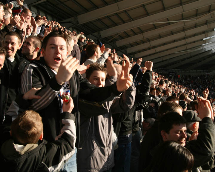 Swans Fans Celebrate