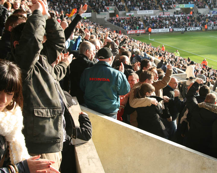 Swans Fans Enjoying It