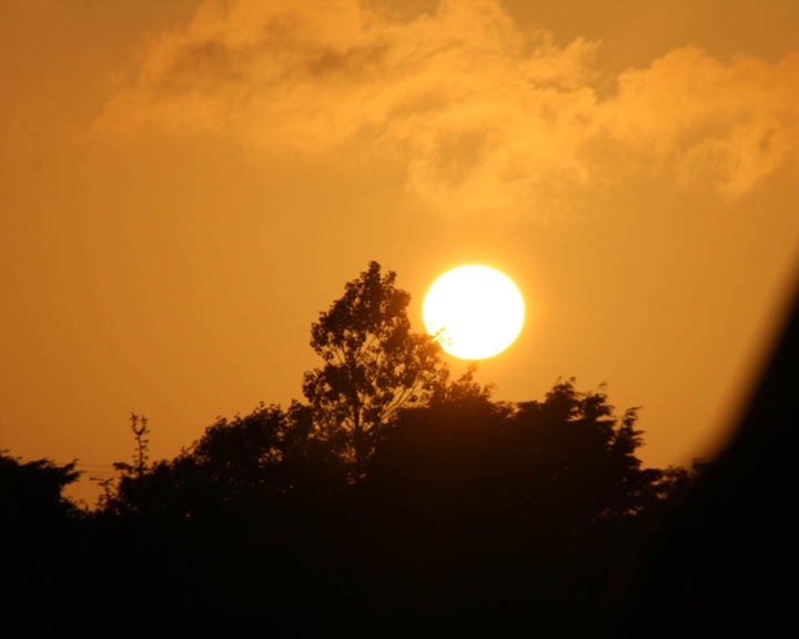 Parrog Sunset