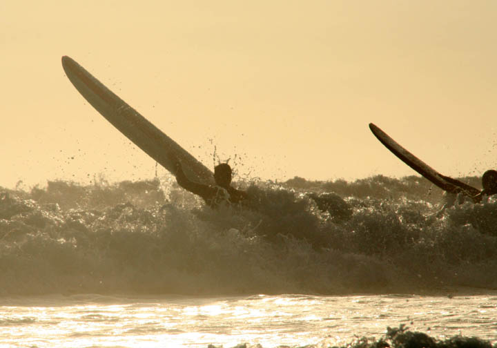 Longboards Launched