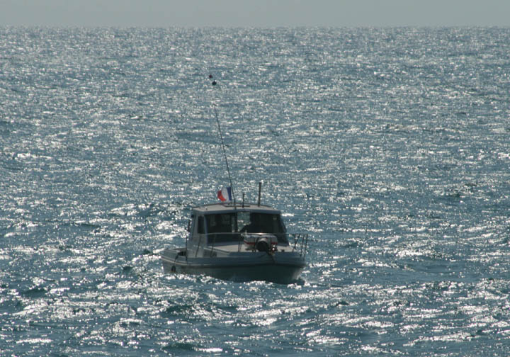 Pleasure Boat