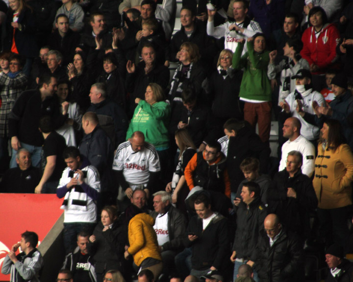 Swans Celebrate
