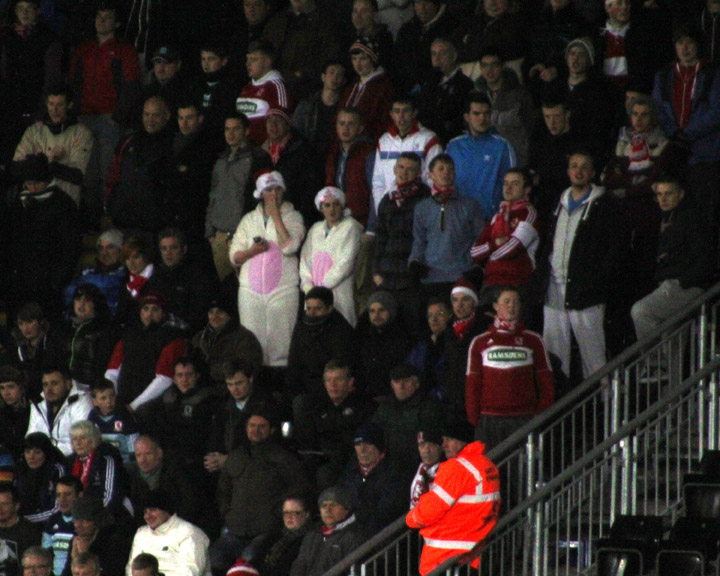 Bit Early For The Easter Bunnies