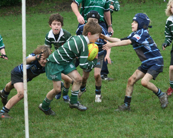 Swansea Uplands U9 Section v Mumbles RFC