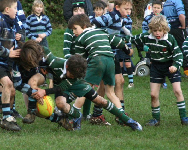 Swansea Uplands U9 Section v Mumbles RFC