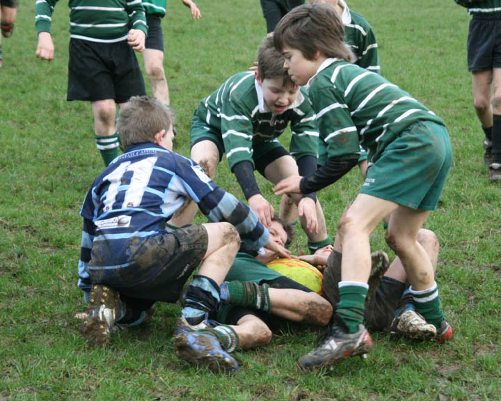 Swansea Uplands U9 Section v Mumbles RFC