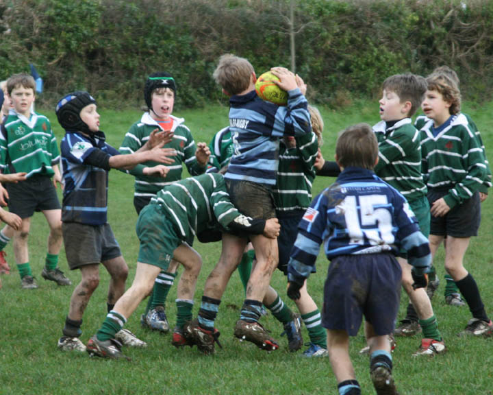 Swansea Uplands U9 Section v Mumbles RFC
