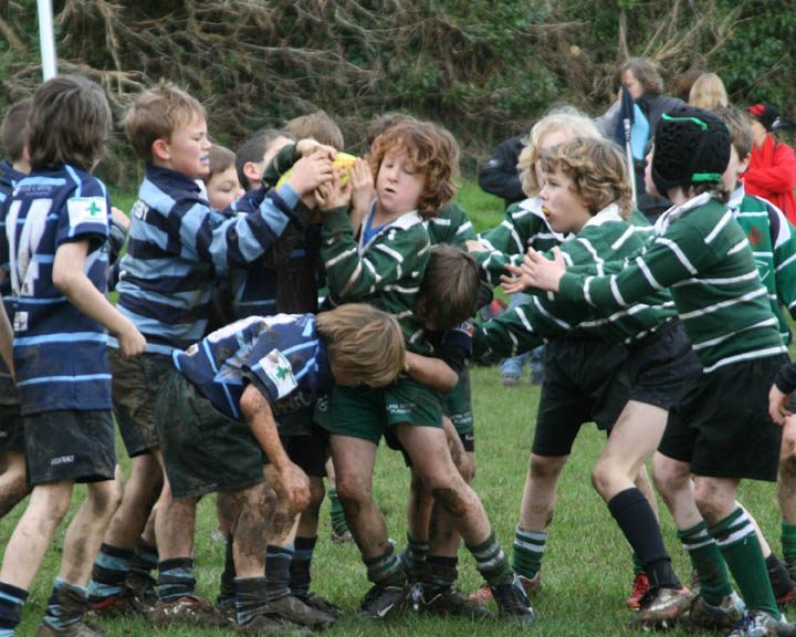 Swansea Uplands U9 Section v Mumbles RFC