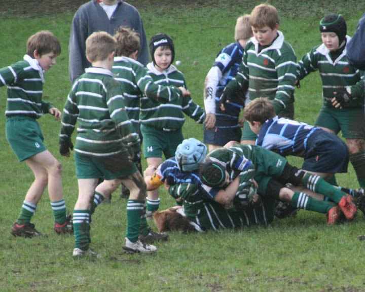 Swansea Uplands U10 v Mumbles RFC