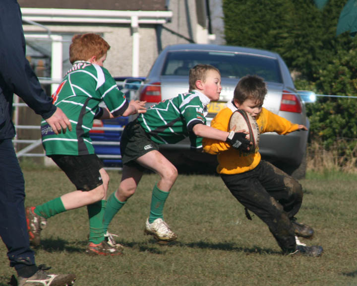 Daniel Tackle