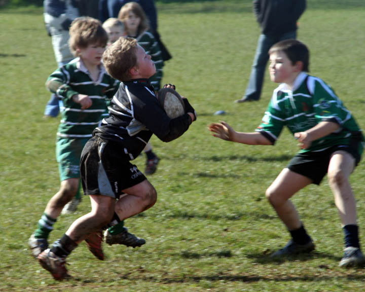 Daniel Tackle