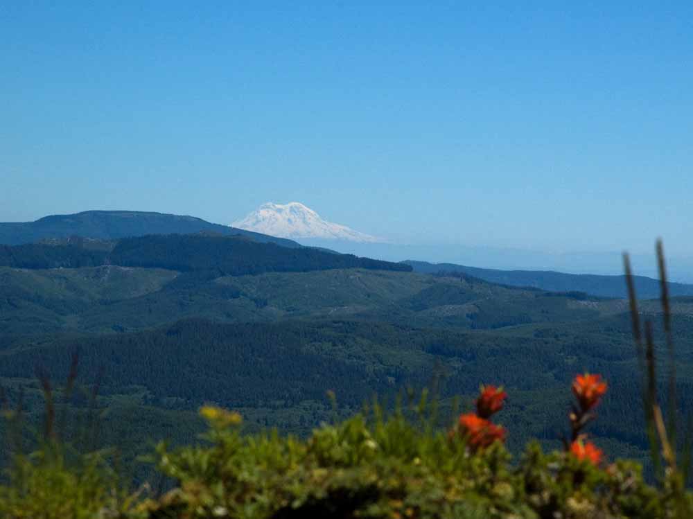 Mt Raineer