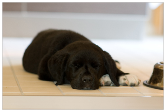 9 weeks