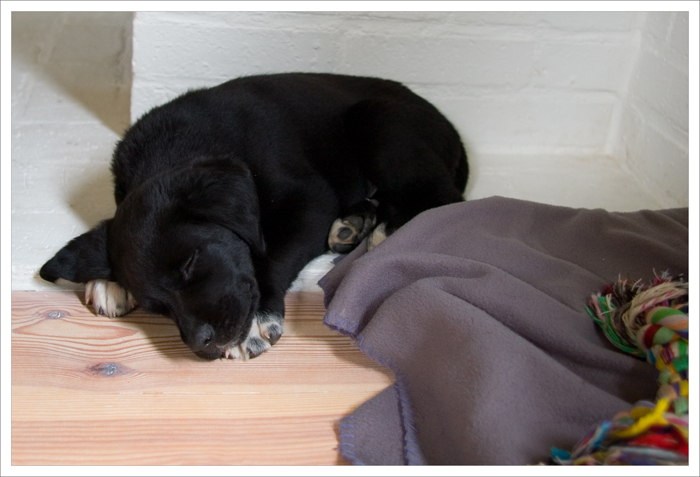9 weeks
