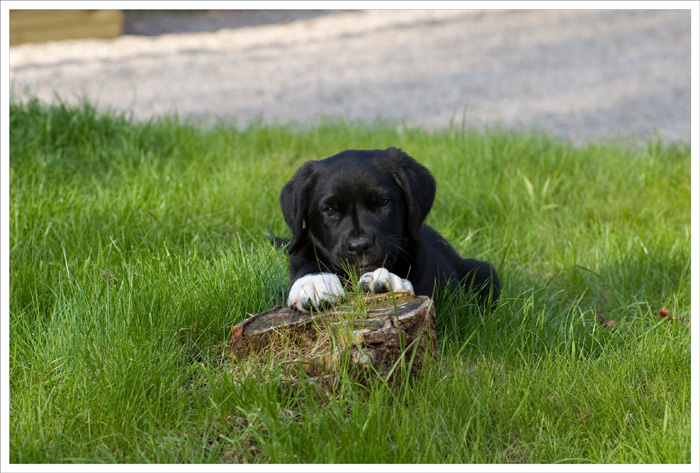 9 weeks