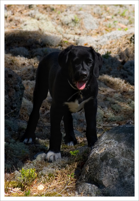 14 weeks