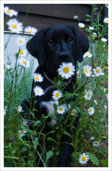15 weeks