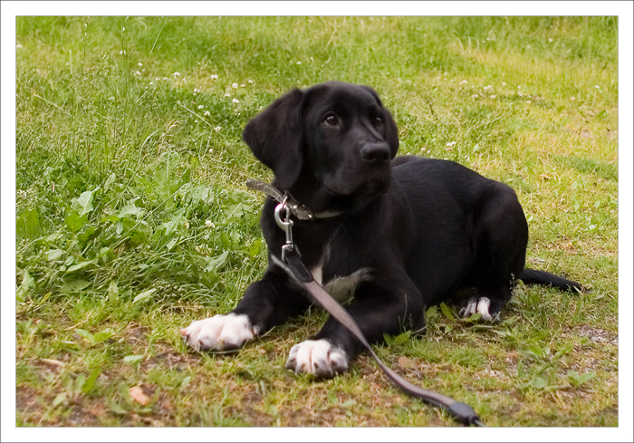 15 weeks