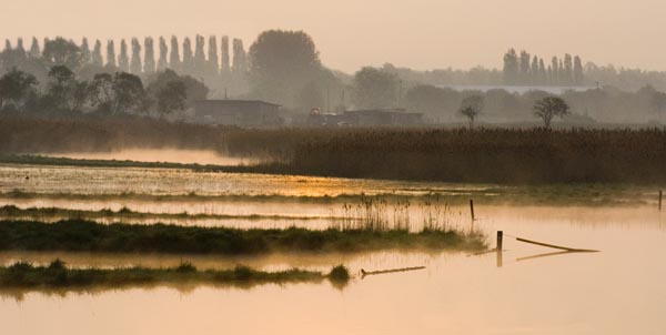 Dawn over The Marshes.