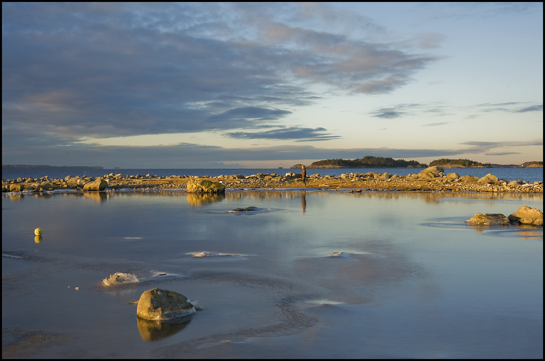 Icy fields 2........