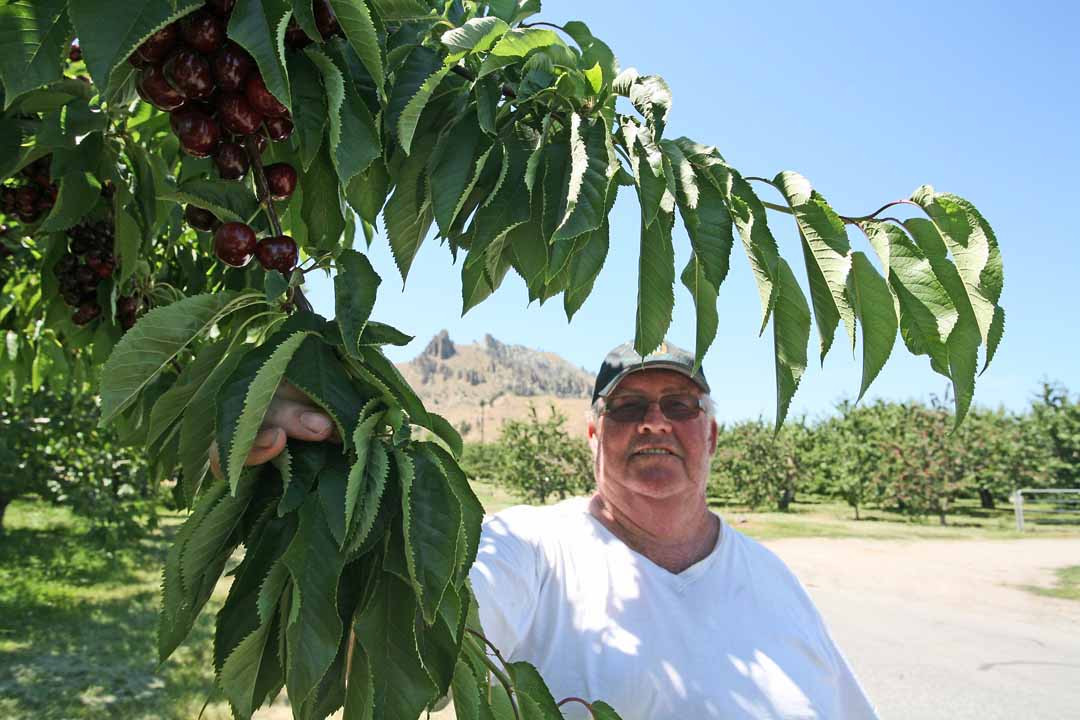 Orchardist  Frank Aileen  