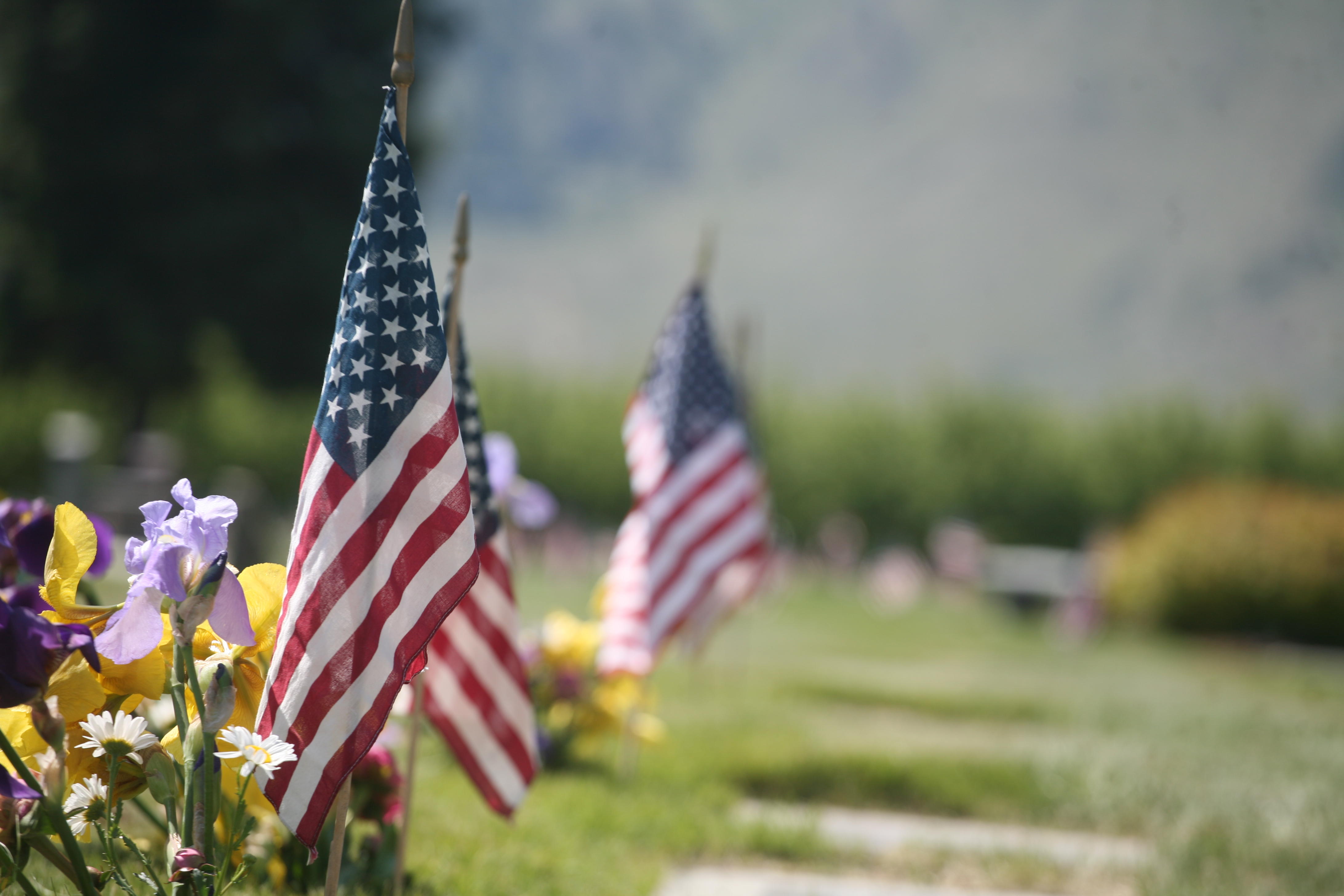 Flags Over Fallen Soldiers Graves