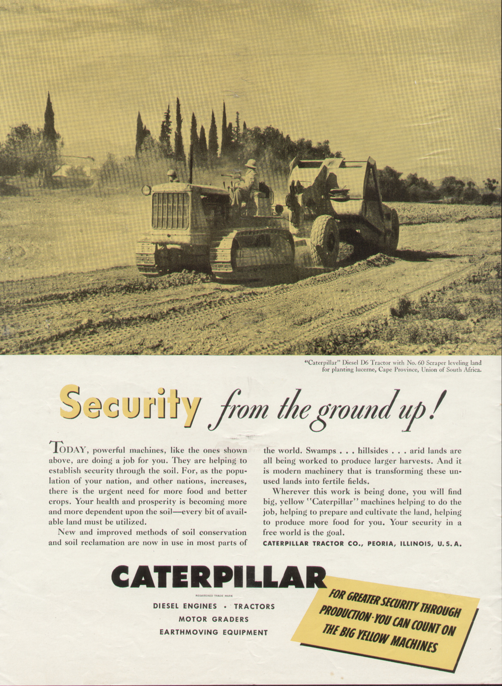 10.1951.019.bmp.jpg