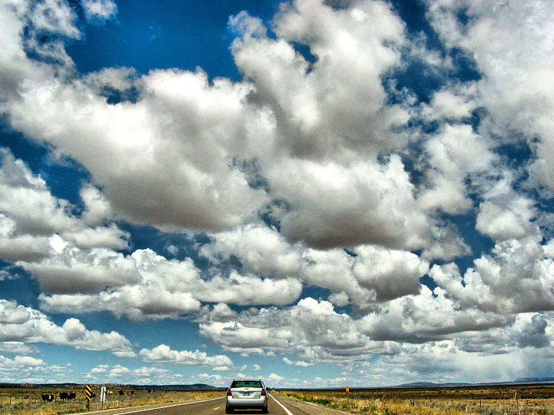 Arizona Skies