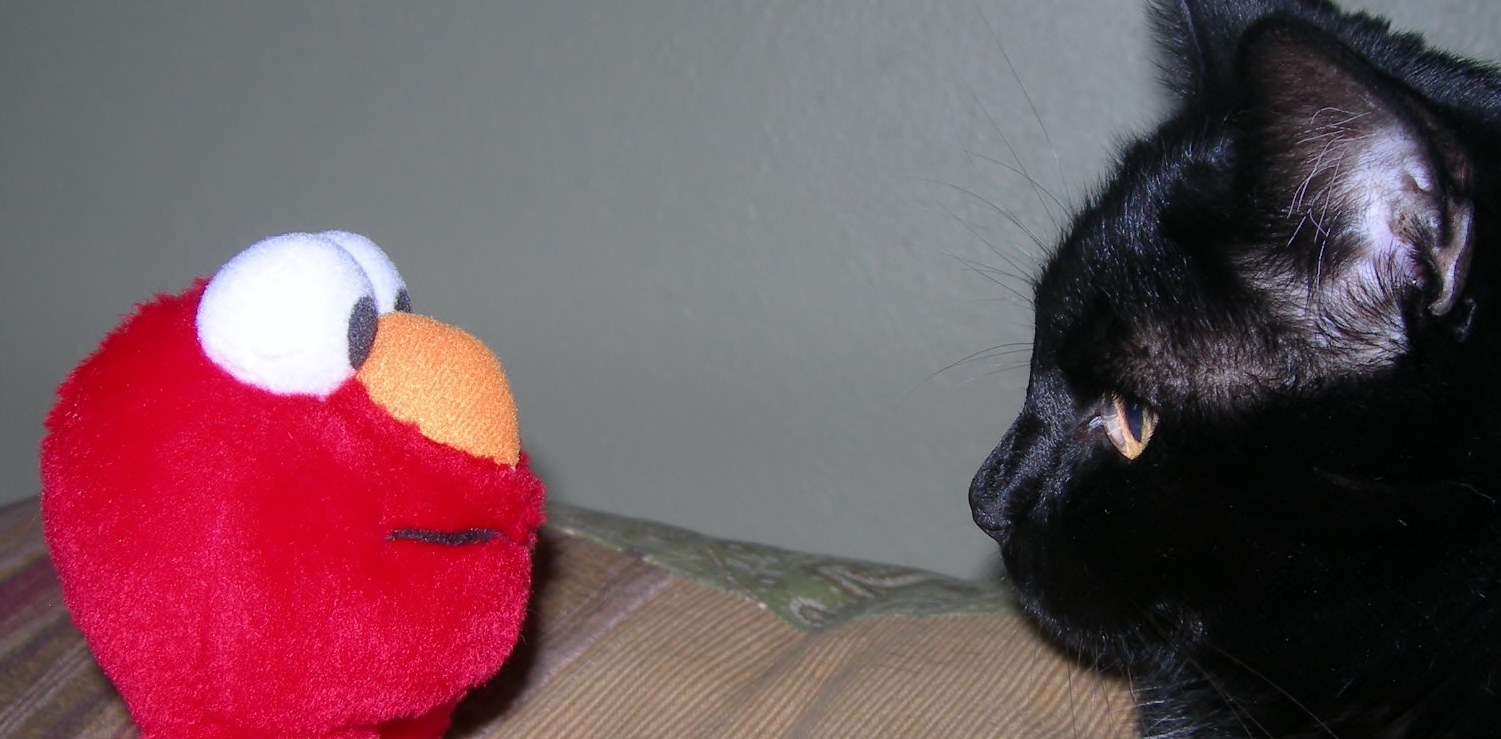 elmo & kwincee