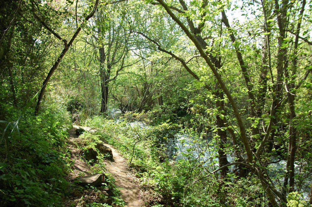 DSC_0182.JPG