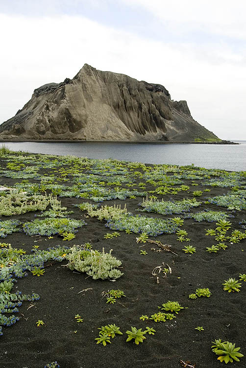 Volcanic cinder cone on Atlasova