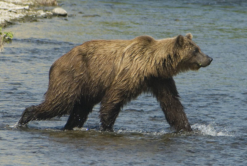 Kamchatkan wonderland