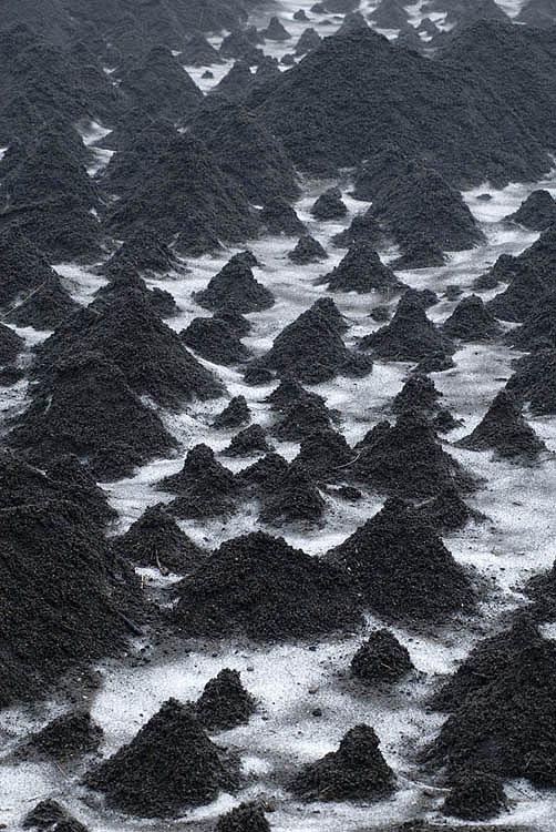 Ice mounds at the foot of Avachinsky Volcano
