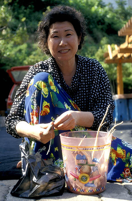 Preparing ginseng, Ulleungdo