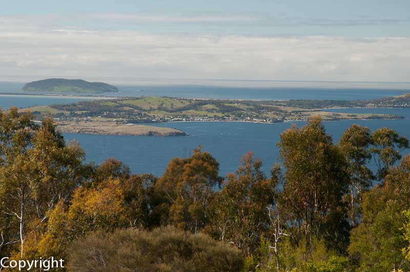 South Arm seen from Mt Nelson