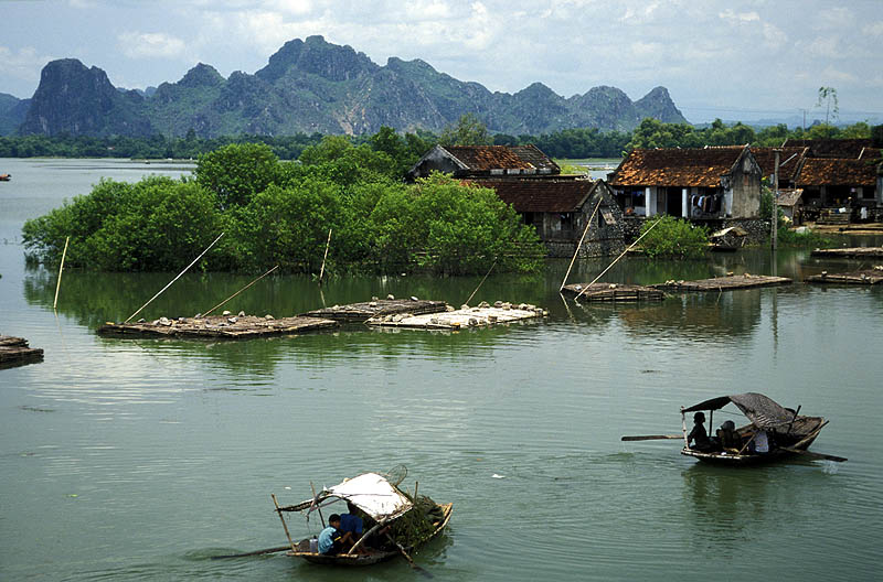 Life on the Hoang Long River, Red River Delta