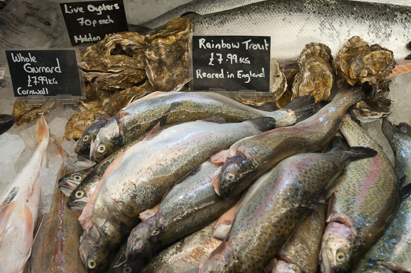 Fishmonger's stall at the Shrewsbury markets