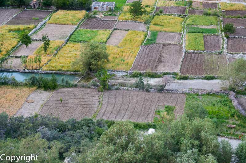 Balti village of Turtuk, near the Pakistani border