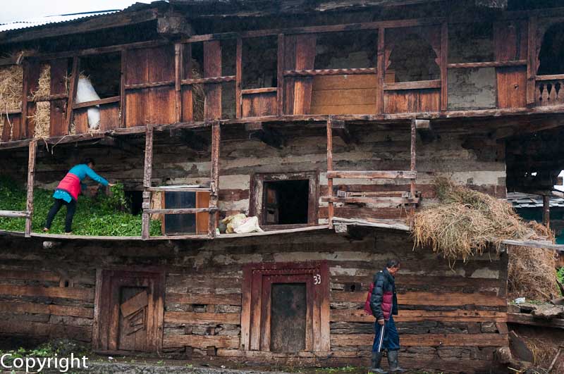 Traditional homes in Old Manali 