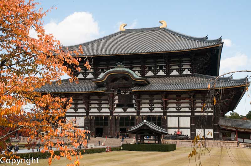 Looking back to Todaiji Temple