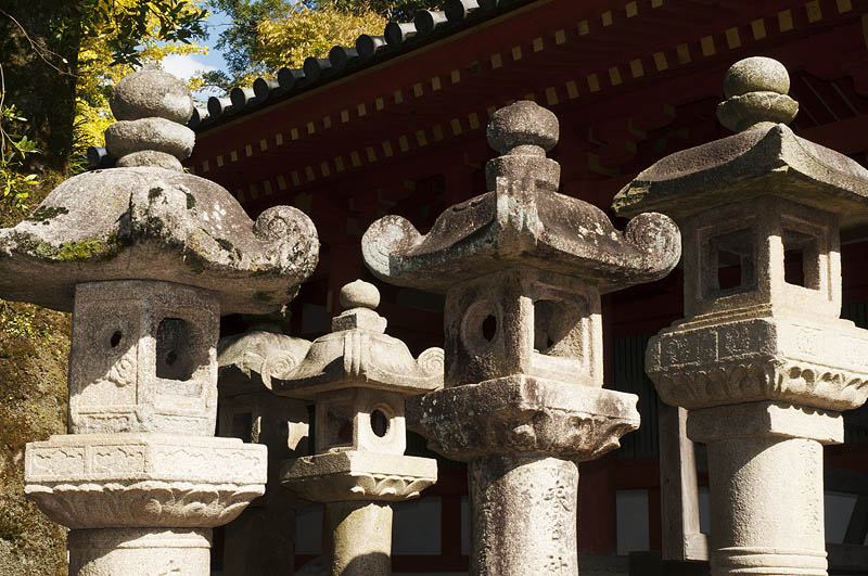 Stone temple lanterns lead the way to Kasuga Taisha