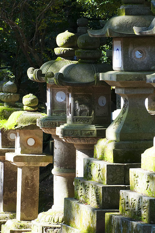 Stone temple lanterns of Kasuga Taisha