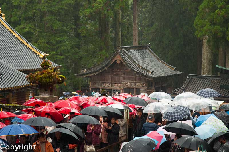 Toshogu Shrine, Nikko