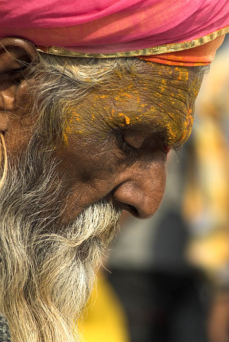 Sadhu, Pushkar, India